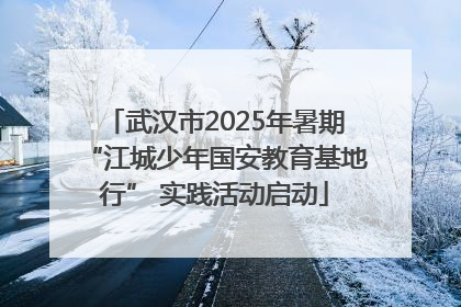 武汉市2025年暑期“江城少年国安教育基地行” 实践活动启动