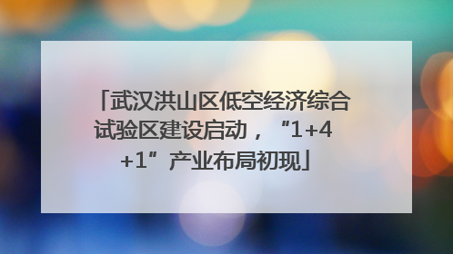 武汉洪山区低空经济综合试验区建设启动，“1+4+1”产业布局初现