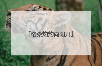 格桑灼灼向阳开