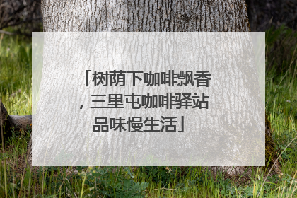 树荫下咖啡飘香，三里屯咖啡驿站品味慢生活