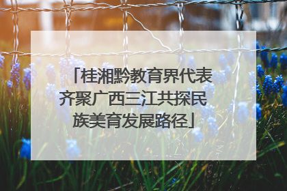 桂湘黔教育界代表齐聚广西三江共探民族美育发展路径