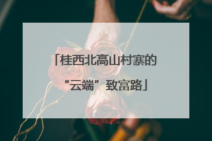 桂西北高山村寨的“云端”致富路