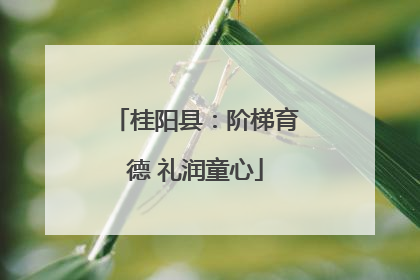 桂阳县：阶梯育德 礼润童心