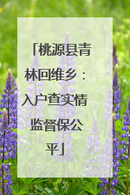桃源县青林回维乡：入户查实情 监督保公平