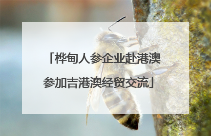 桦甸人参企业赴港澳参加吉港澳经贸交流