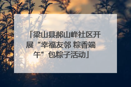 梁山县郝山峰社区开展“幸福友邻 粽香端午”包粽子活动
