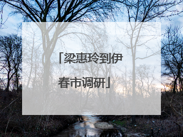 梁惠玲到伊春市调研
