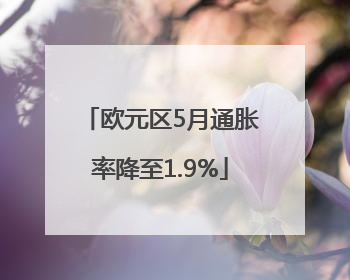 欧元区5月通胀率降至1.9%
