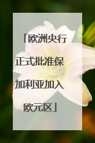 欧洲央行正式批准保加利亚加入欧元区