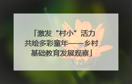 激发“村小”活力 共绘多彩童年——乡村基础教育发展观察