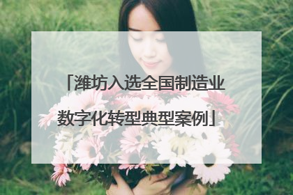 潍坊入选全国制造业数字化转型典型案例