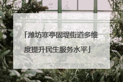潍坊寒亭固堤街道多维度提升民生服务水平