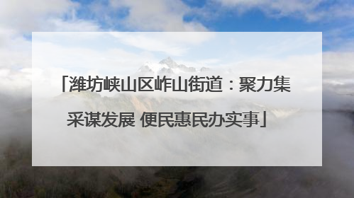 潍坊峡山区岞山街道：聚力集采谋发展 便民惠民办实事