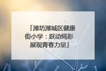 潍坊潍城区健康街小学：跃动绳彩展现青春力量