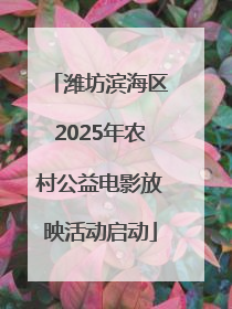 潍坊滨海区2025年农村公益电影放映活动启动