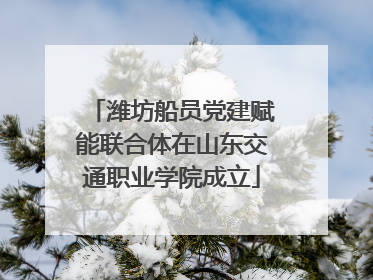 潍坊船员党建赋能联合体在山东交通职业学院成立