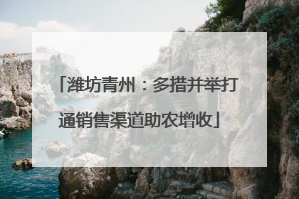 潍坊青州：多措并举打通销售渠道助农增收