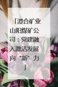 澄合矿业山阳煤矿公司：党建融入激活发展向“新”力