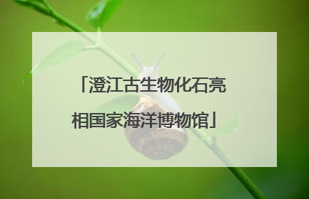 澄江古生物化石亮相国家海洋博物馆