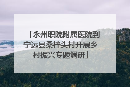 永州职院附属医院到宁远县桑梓头村开展乡村振兴专题调研