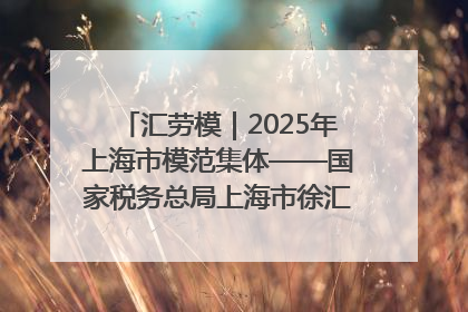 汇劳模｜2025年上海市模范集体——国家税务总局上海市徐汇区税务局第一税务所