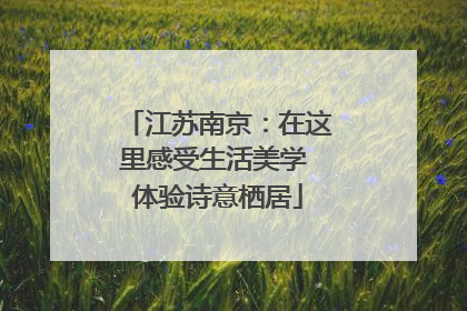 江苏南京：在这里感受生活美学 体验诗意栖居
