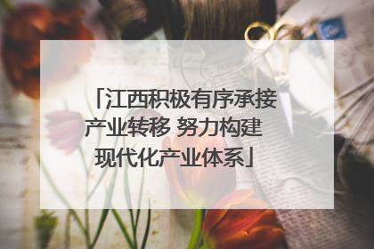 江西积极有序承接产业转移 努力构建现代化产业体系