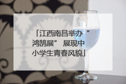 江西南昌举办“鸿鹄展” 展现中小学生青春风貌