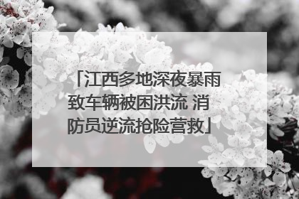 江西多地深夜暴雨致车辆被困洪流 消防员逆流抢险营救