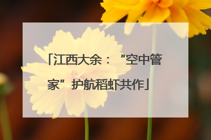 江西大余：“空中管家”护航稻虾共作