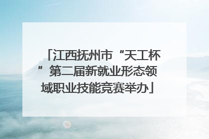 江西抚州市“天工杯”第二届新就业形态领域职业技能竞赛举办