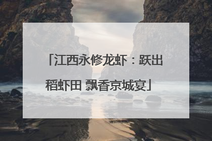 江西永修龙虾：跃出稻虾田 飘香京城宴