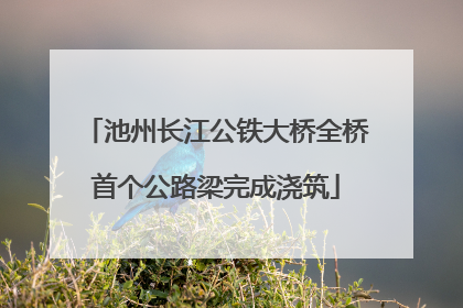 池州长江公铁大桥全桥首个公路梁完成浇筑