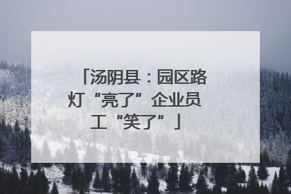 汤阴县：园区路灯“亮了”企业员工“笑了”