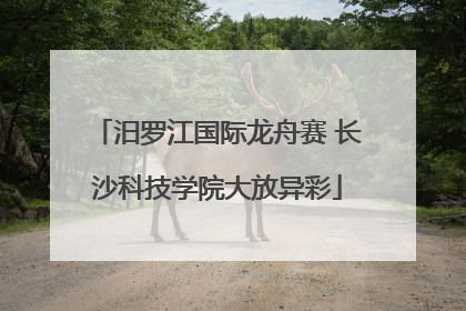 汨罗江国际龙舟赛 长沙科技学院大放异彩