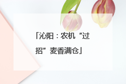 沁阳：农机“过招”麦香满仓