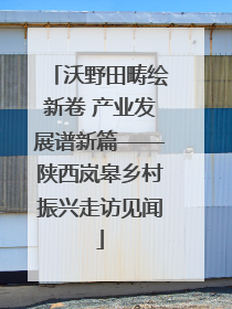 沃野田畴绘新卷 产业发展谱新篇——陕西岚皋乡村振兴走访见闻