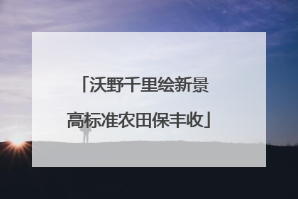 沃野千里绘新景 高标准农田保丰收