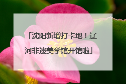 沈阳新增打卡地！辽河非遗美学馆开馆啦