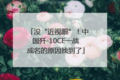 没“近视眼”！中国歼-10CE一战成名的原因找到了