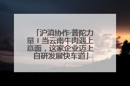 沪滇协作·普陀力量〡当云南牛肉遇上意面，这家企业迈上自研发展快车道