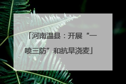 河南温县：开展“一喷三防”和抗旱浇麦