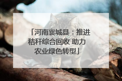 河南襄城县：推进秸秆综合回收 助力农业绿色转型