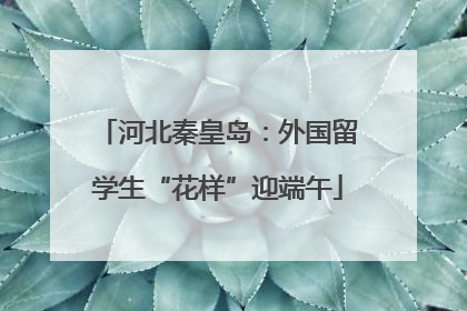 河北秦皇岛：外国留学生“花样”迎端午