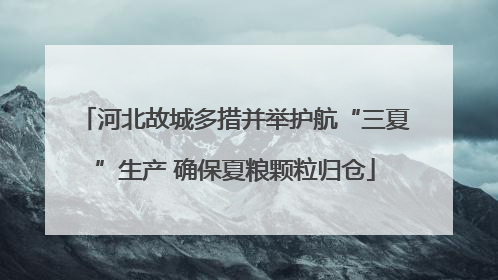 河北故城多措并举护航“三夏”生产 确保夏粮颗粒归仓