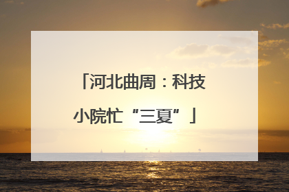 河北曲周：科技小院忙“三夏”