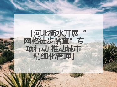 河北衡水开展“网格徒步踏查”专项行动 推动城市精细化管理