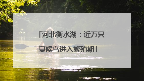 河北衡水湖：近万只夏候鸟进入繁殖期
