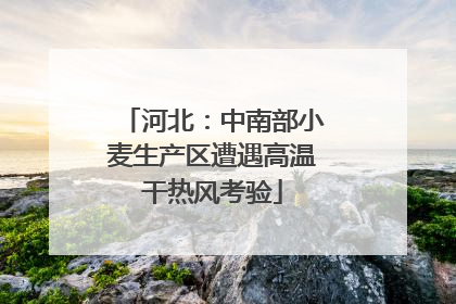 河北：中南部小麦生产区遭遇高温干热风考验