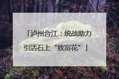 泸州合江：统战助力引活石上“致富花”